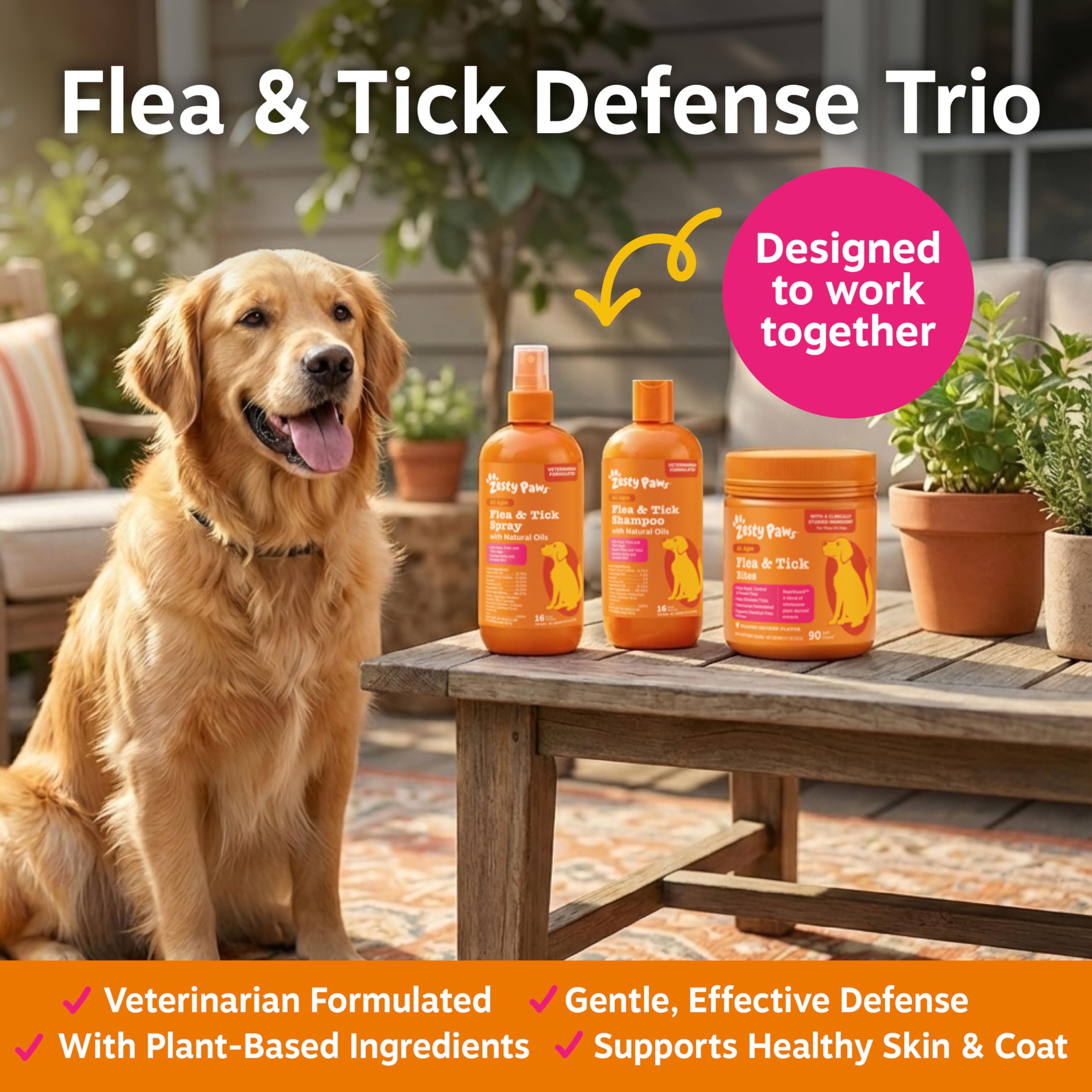 Boxed Zesty Paws Flea & Tick Kit packaging ready to purchase