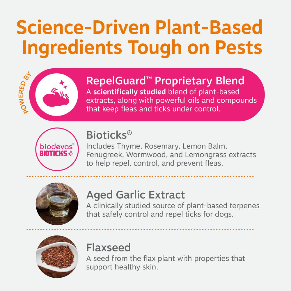 Zesty Paws rosemary ingredient closeup suggests natural pest defense.