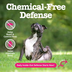 Zesty Paws flea and tick prevention dog chew texture closeup shows a palatable formula.