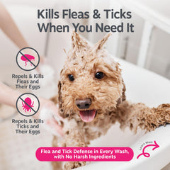 Zesty Paws shampoo lather on dog, thorough cleansing during bath time.