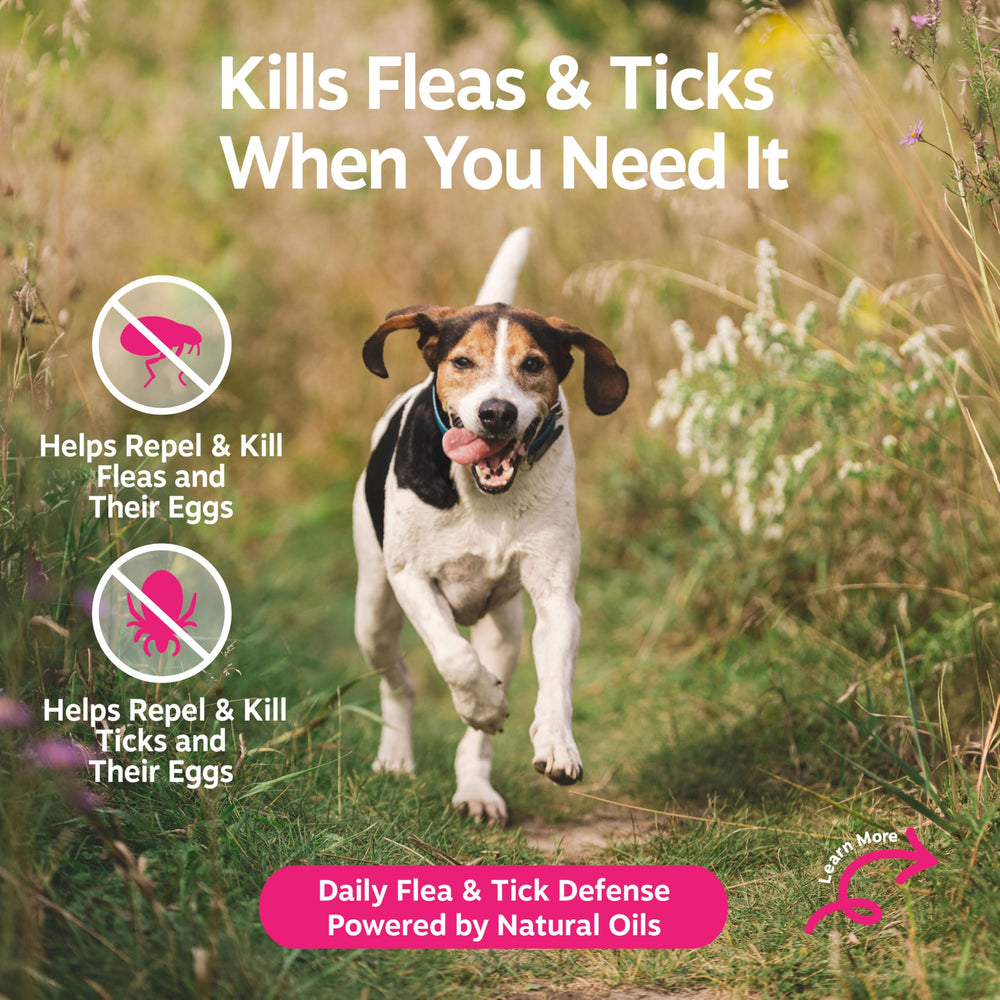 Zesty Paws flea-tick-spray close-up of Cedarwood and Rosemary oils