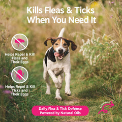 Zesty Paws flea-tick-spray close-up of Cedarwood and Rosemary oils