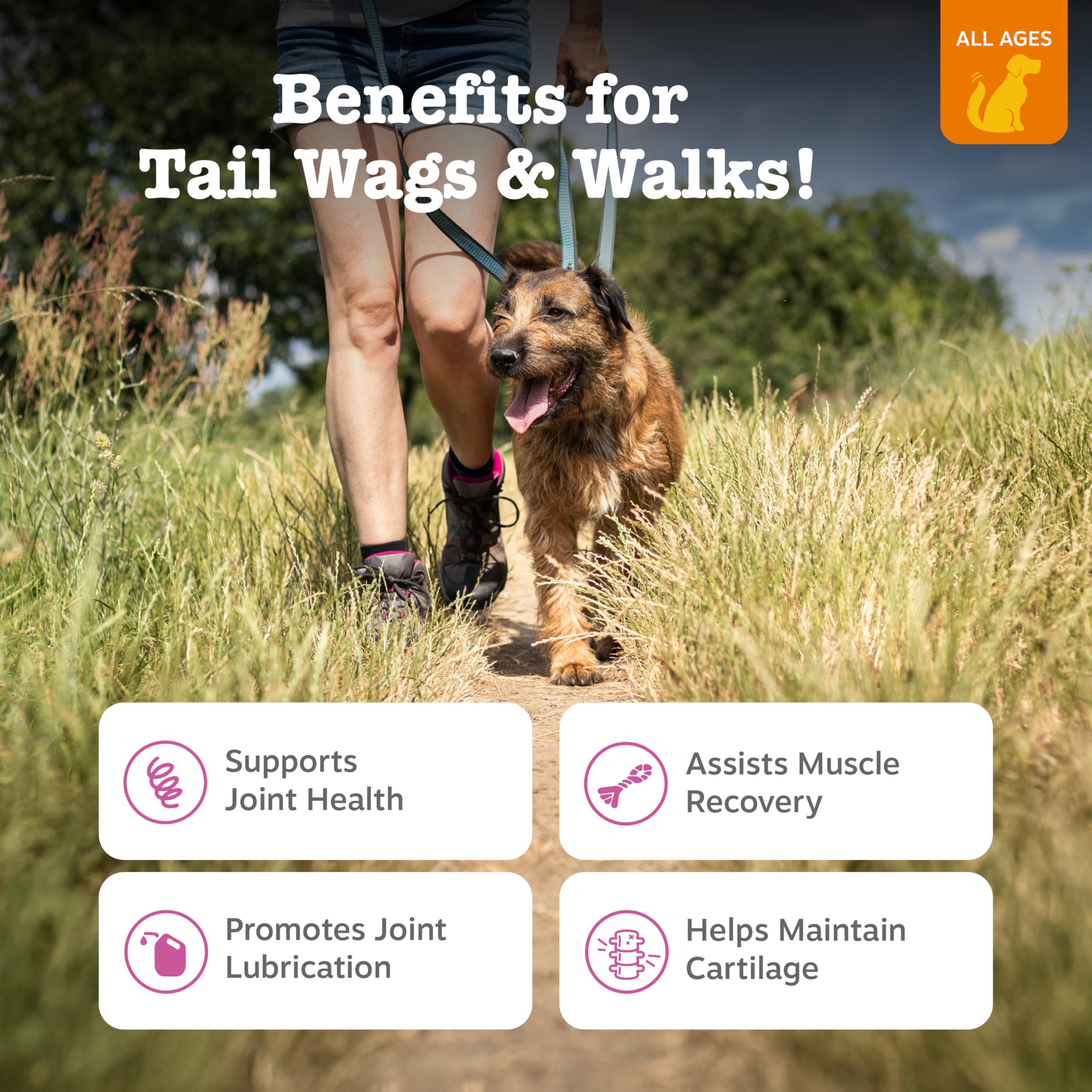 Zesty Paws glucosamine chondroitin dog chews illustrating joint health support