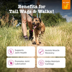 Zesty Paws glucosamine chondroitin dog chews illustrating joint health support