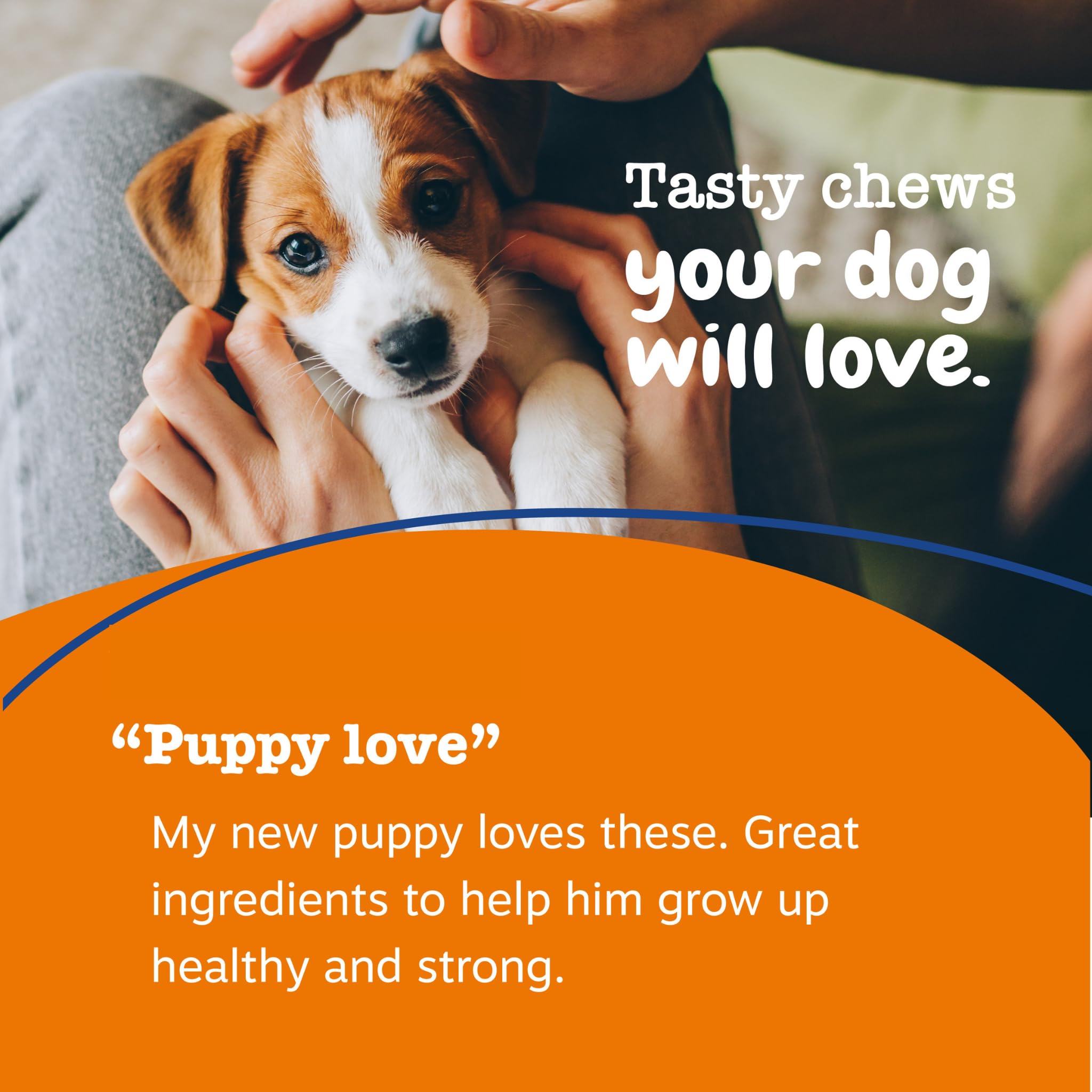 Zesty Paws Glucosamine Joint Support delivers nutrients for mobility.