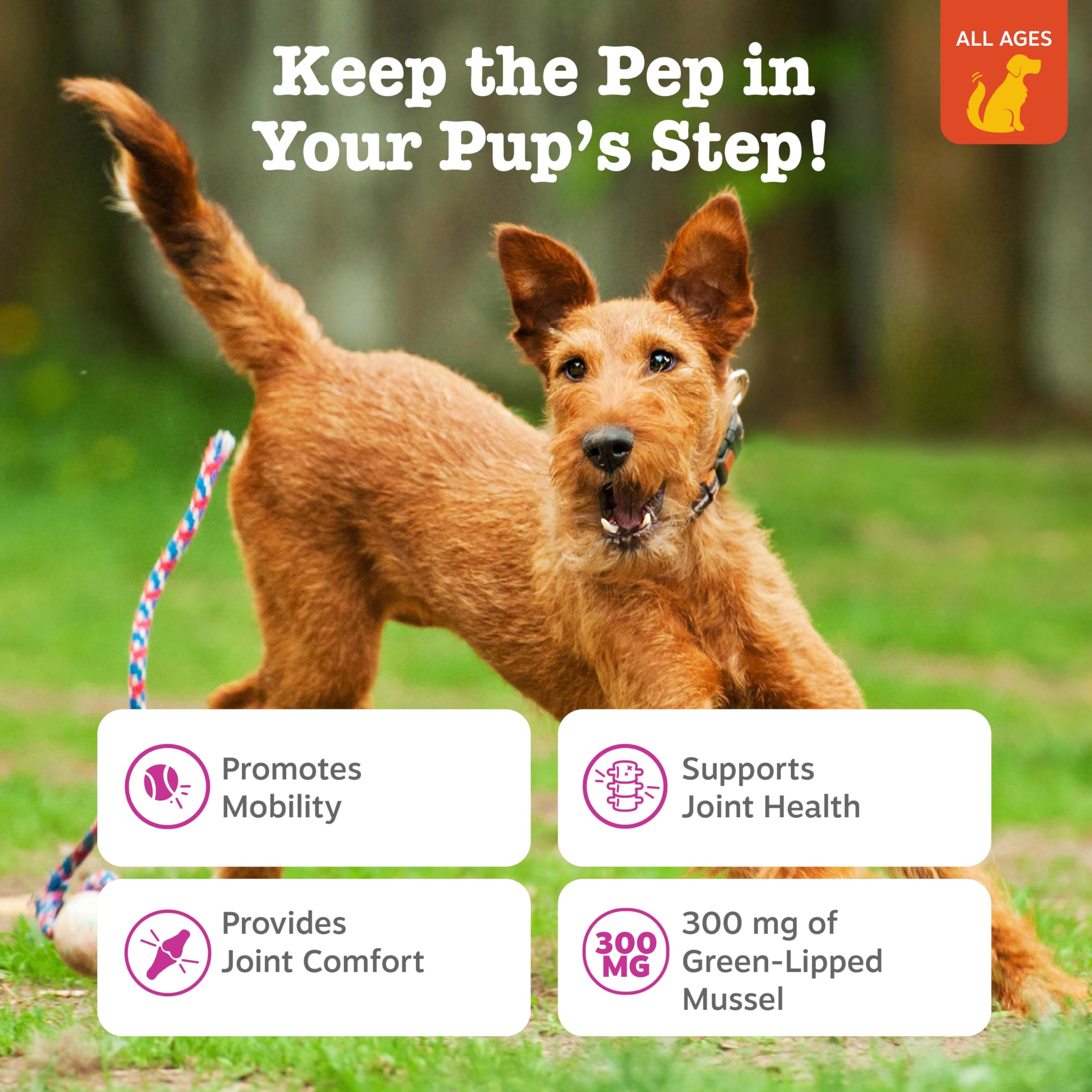 NZ sourced green lipped mussel ingredients in Zesty Paws formula for joints