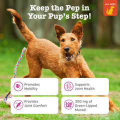 NZ sourced green lipped mussel ingredients in Zesty Paws formula for joints
