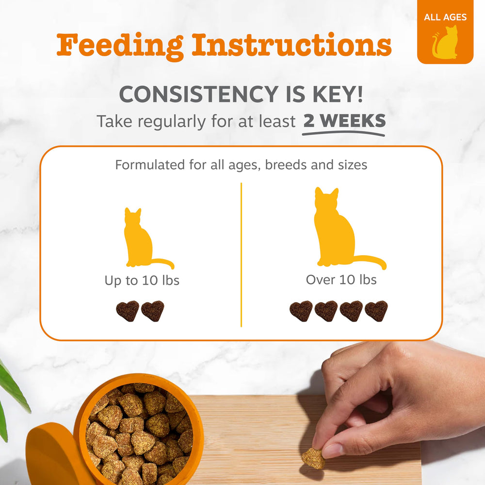Psyllium husk visual indicates gut health and hairball management.