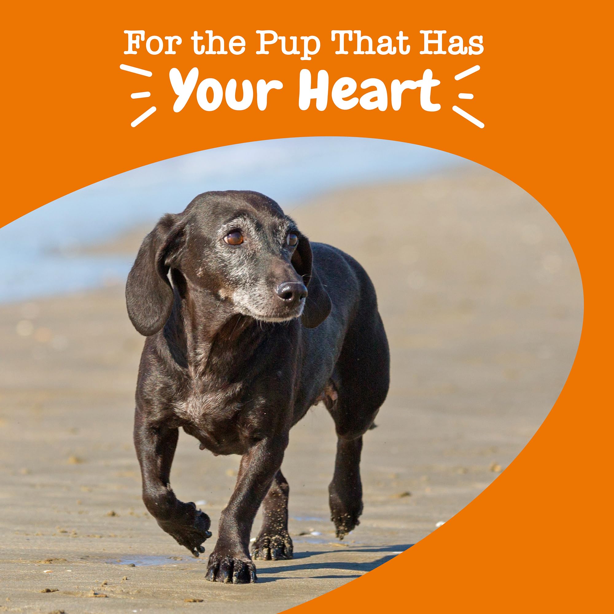 Zesty Paws Hawthorn powder highlighting heart-friendly herbal support.