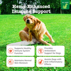 Close-up of Zesty Paws Hemp Allergy Immune Bites soft chews with cheese flavor.