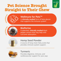Zesty Paws Hemp Allergy Immune Bites chews in a bowl for daily dog care and comfort.