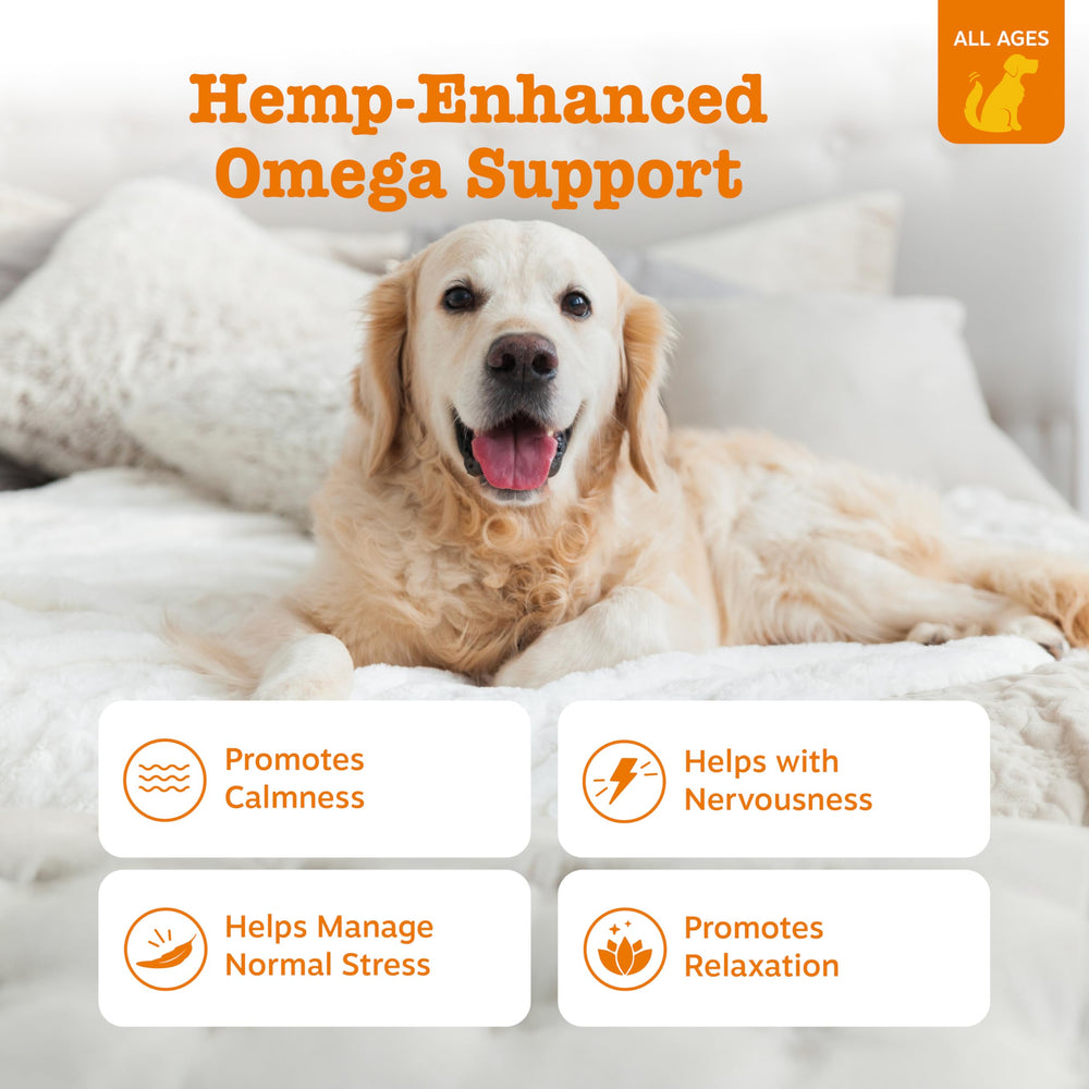 Zesty Paws Hemp Elements Calming Bites ingredients highlight hemp and Suntheanine for relaxation.