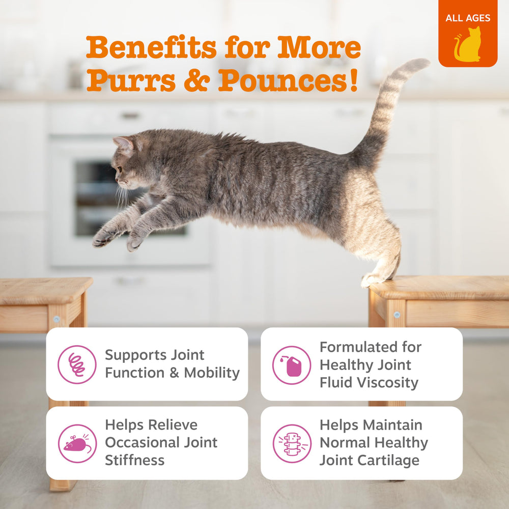 Zesty Paws Hip & Joint Bites soft chews for cats supporting joint comfort