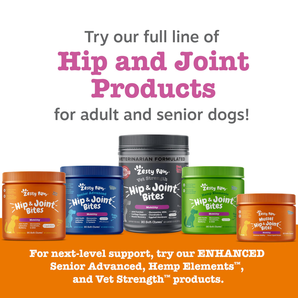 Large-breed dog with Zesty Paws hip and joint chews during training.