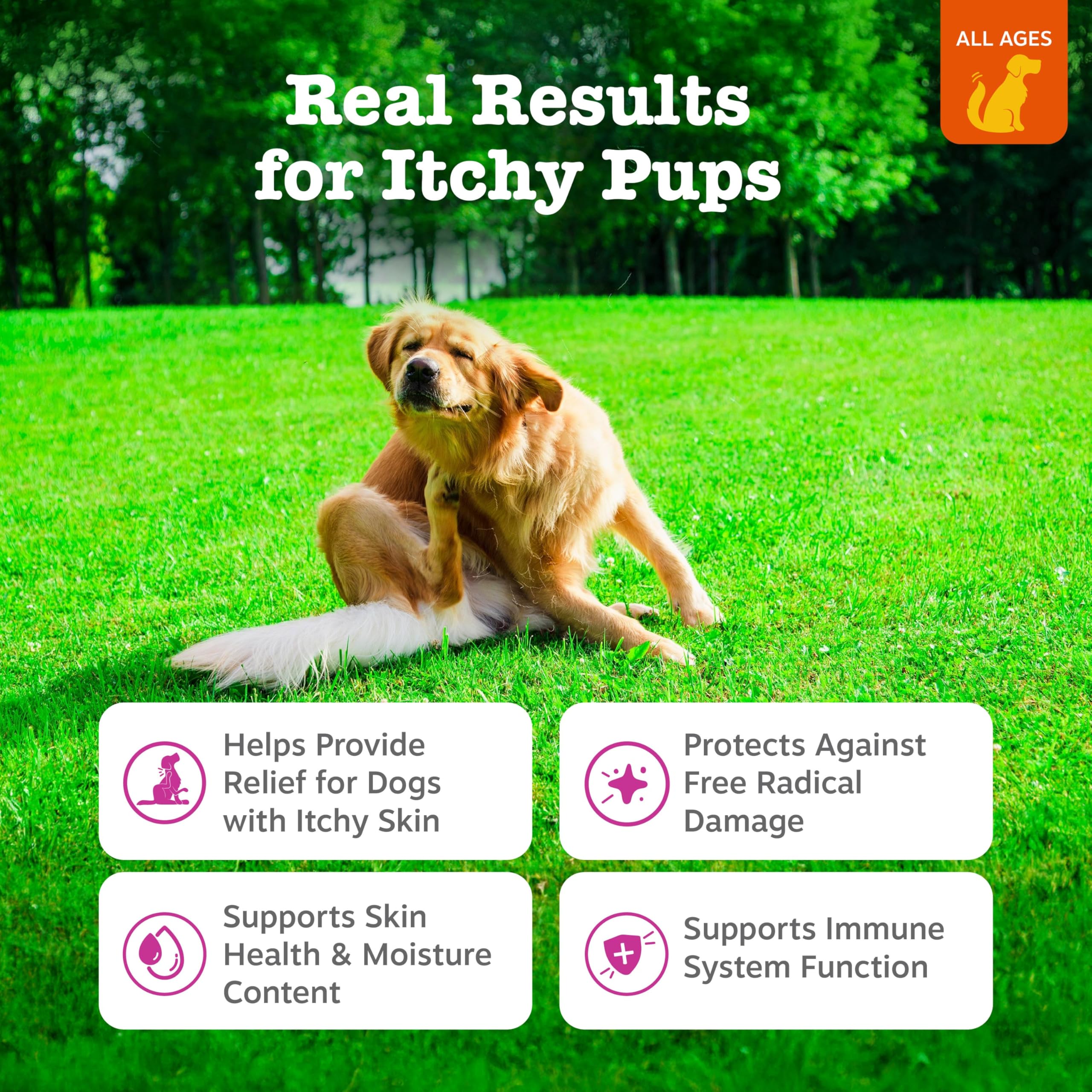 Zesty Paws Itch Relief chews in chicken flavor for tasty allergy support.