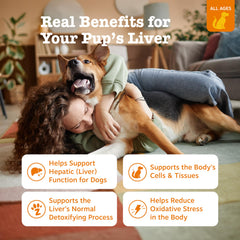 Zesty Paws Liver Support Bites chews close-up, texture suited for easy daily administration.