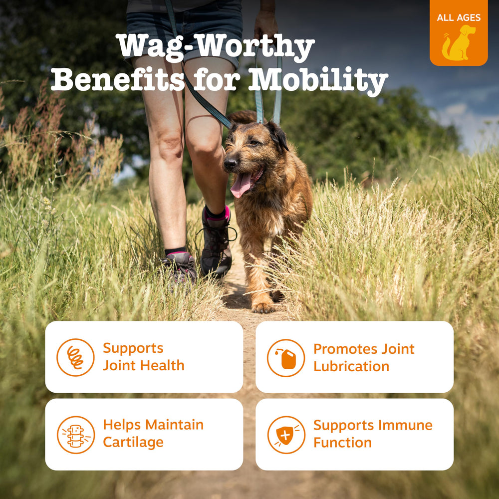 Zesty Paws Mobility Bites ingredient panel close-up with glucosamine and chondroitin