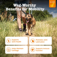 Zesty Paws Mobility Bites ingredient panel close-up with glucosamine and chondroitin