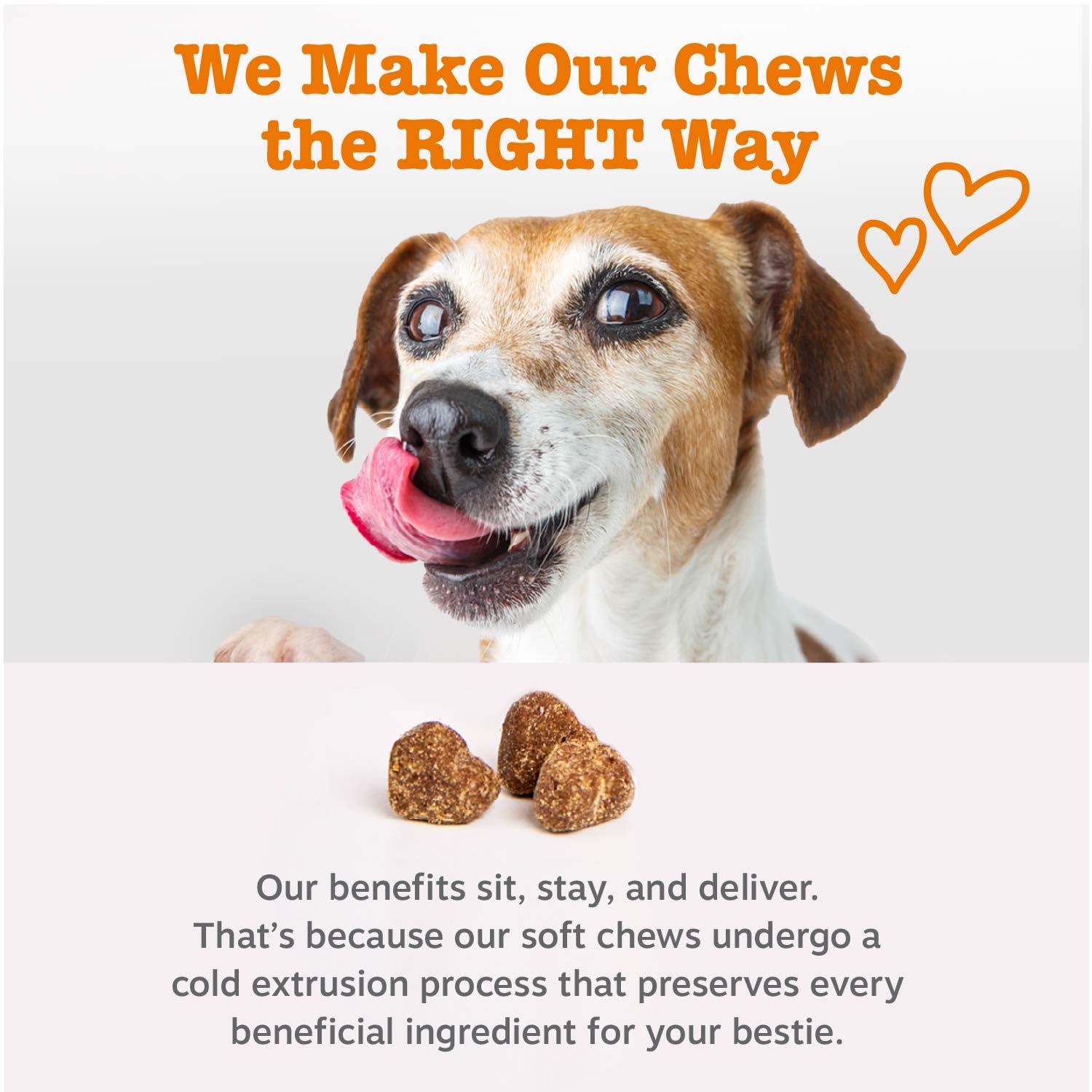 Joint health concept with Zesty Paws Multi Collagen Soft Chews branding.