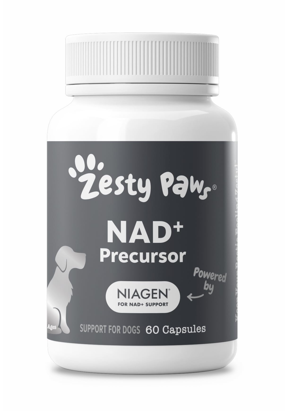 Zesty Paws NAD+ capsule scene for aging dogs.