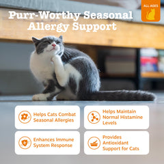 Zesty Paws Omega-3 Probiotics cat treats promote healthy skin and coat.