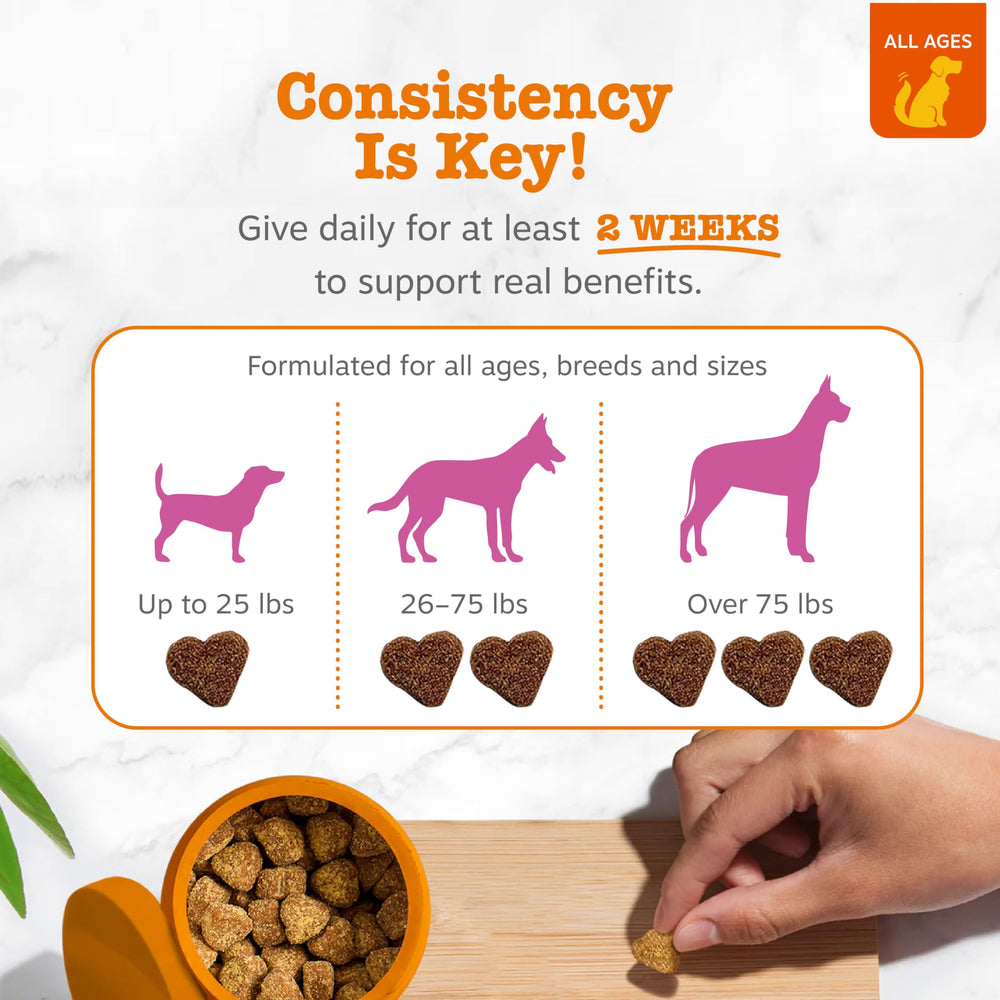 Zesty Paws optims ingredients highlight OptiMSM with glucosamine and chondroitin.