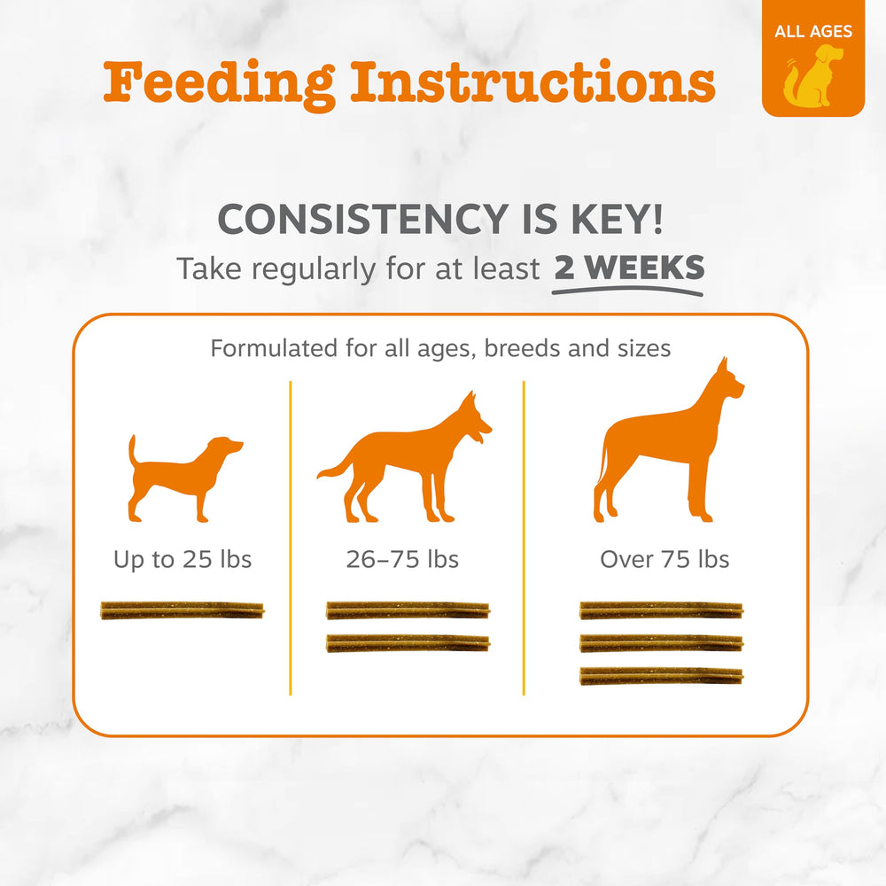 OraStix close-up reveals ginger curcumin hemp seed components beneficial for dogs.