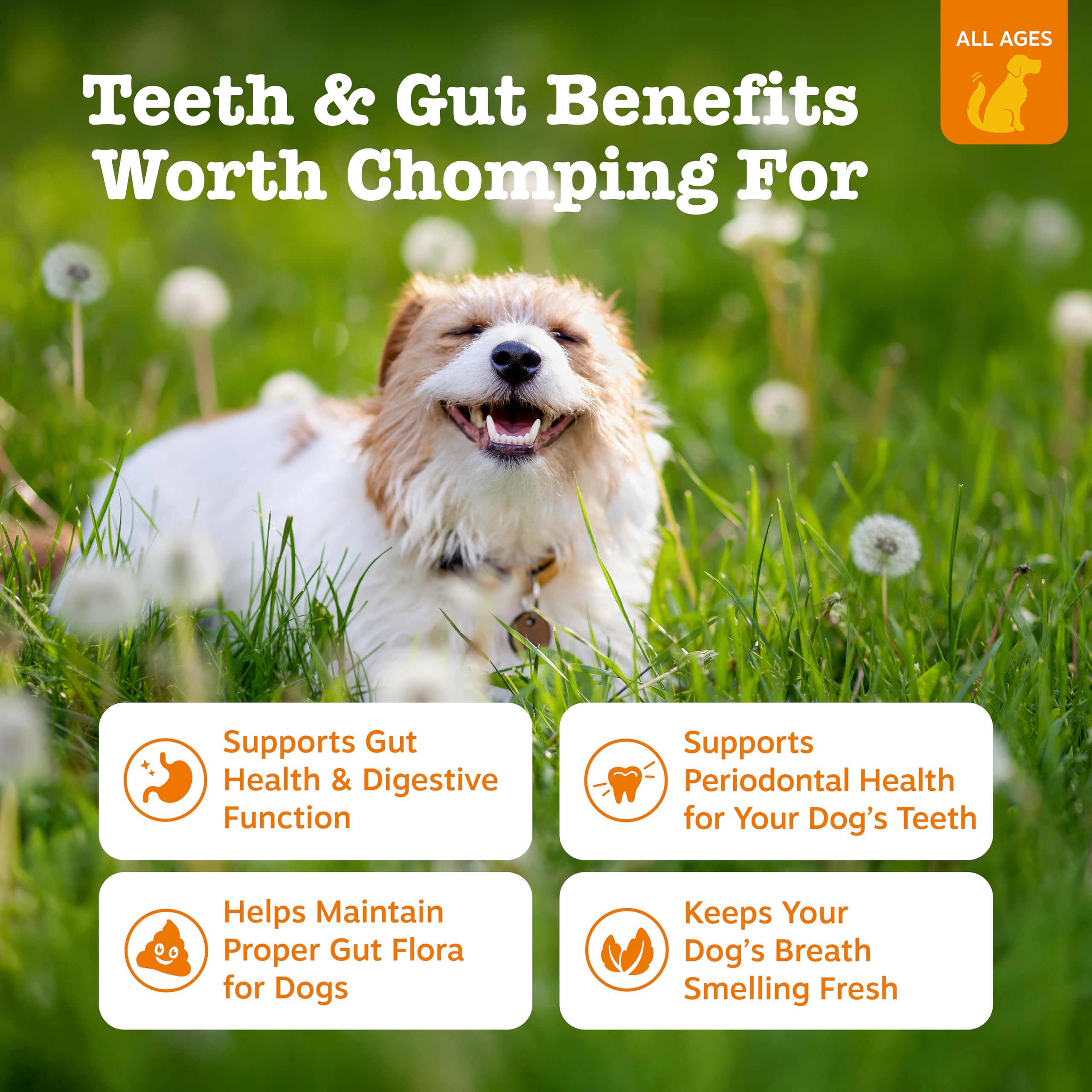 Closeup of Orastix dog sticks emphasizes texture and palatability for daily use.