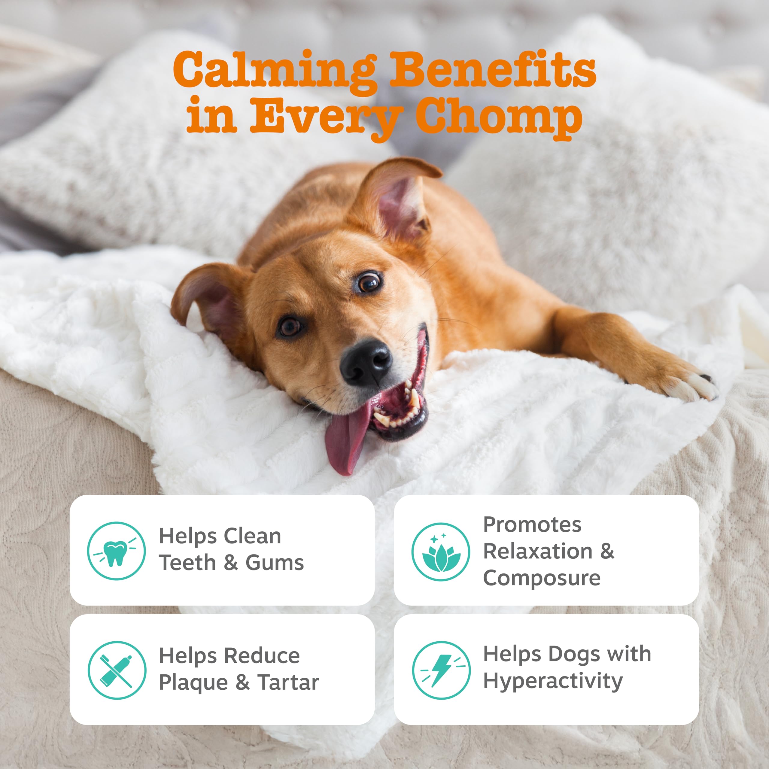 OraStix dental-sticks for dogs promoting healthy teeth and gums with peppermint and kelp.