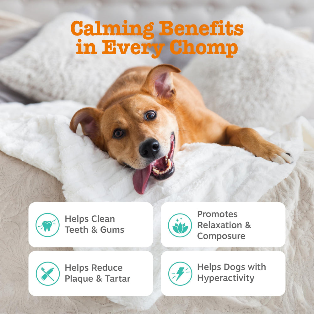 OraStix dental-sticks for dogs promoting healthy teeth and gums with peppermint and kelp.