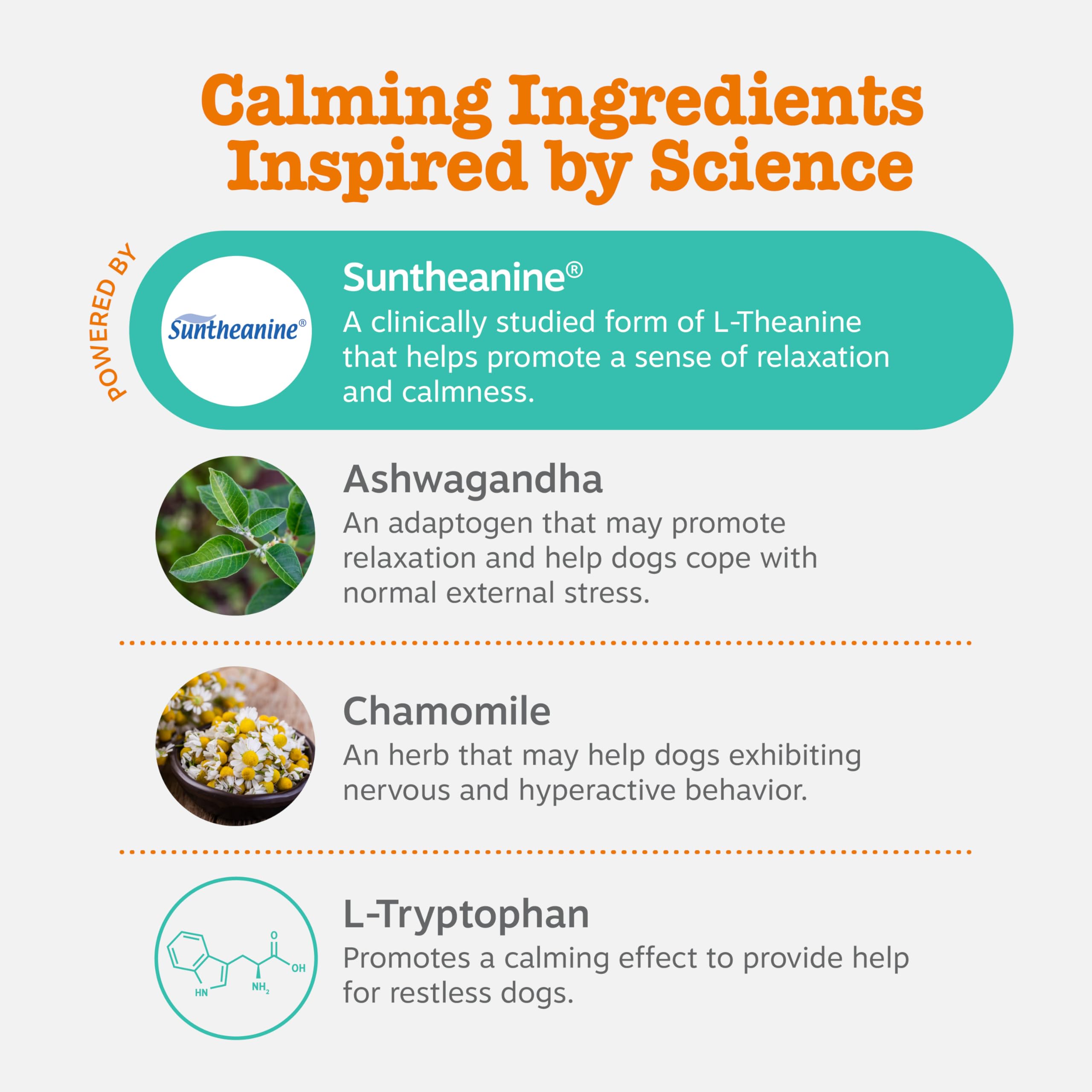 Suntheanine formula OraStix provides a calming effect for dogs chewing during storms.
