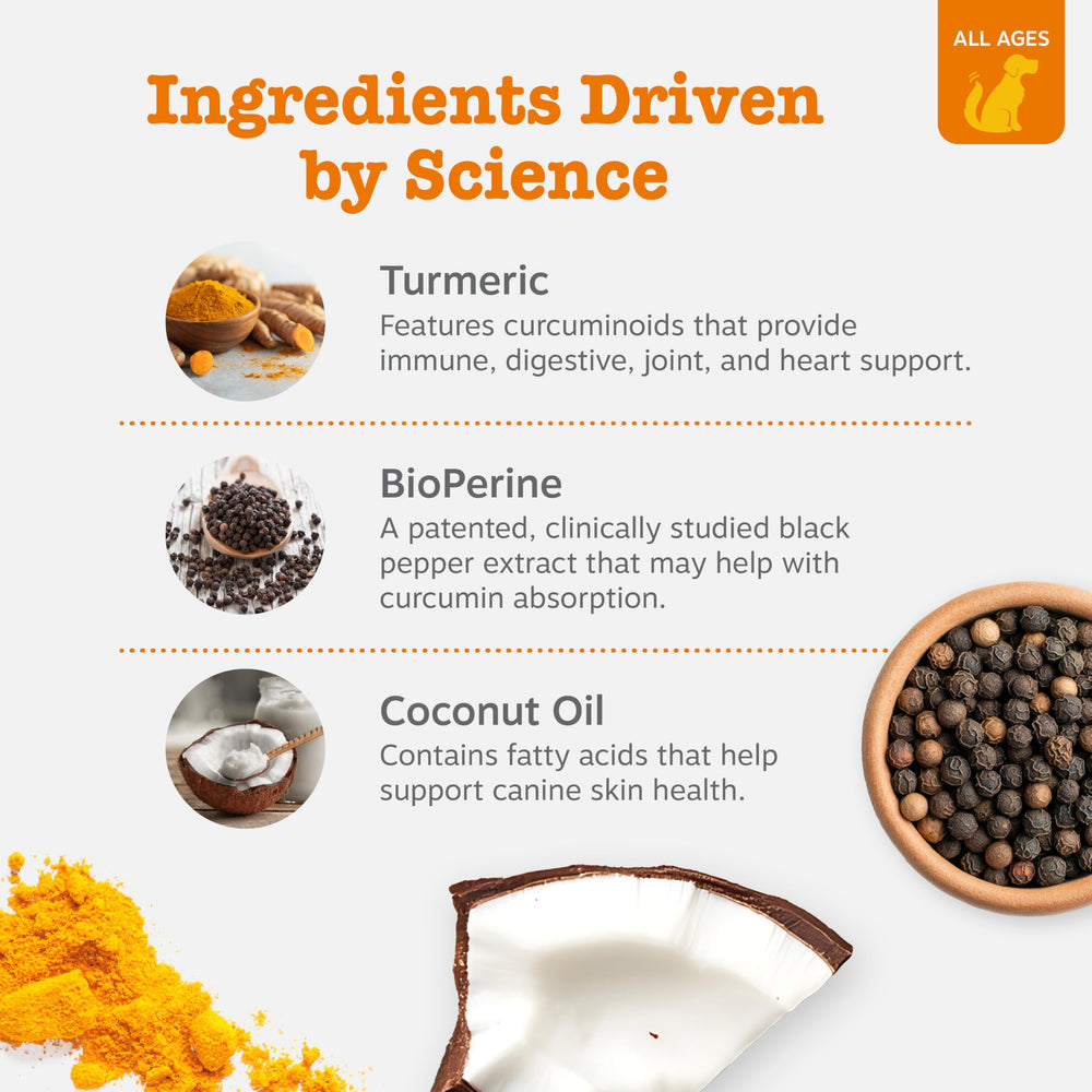 Zesty Paws Organic Turmeric with 95% Curcuminoids supports joint comfort.