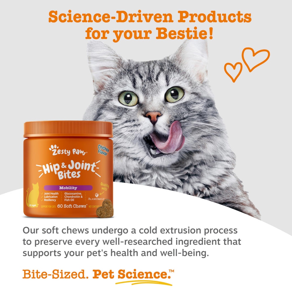 Zesty Paws Hip & Joint Bites packaging with ingredients list