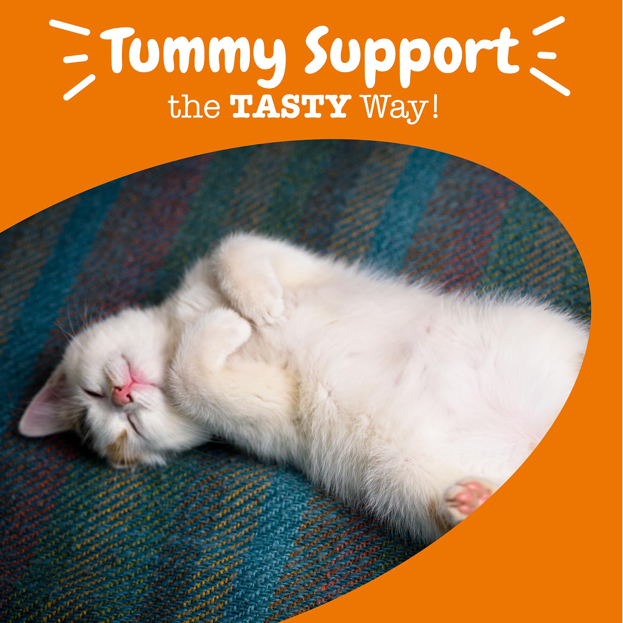Zesty Paws Probiotic Bites cat with glass bowl; supports healthy digestion.