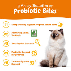 Zesty Paws Probiotic Bites bottle DE111; convenient daily gut health support.