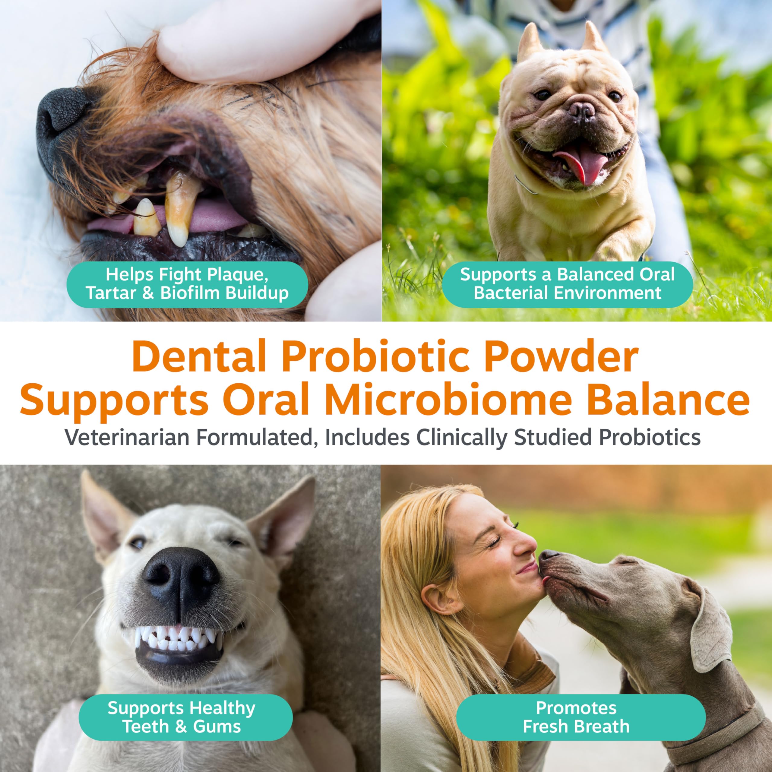 Zesty Paws Probiotic Dental Powder poured on food helps fresher breath for dogs.