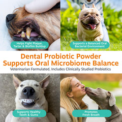 Zesty Paws Probiotic Dental Powder poured on food helps fresher breath for dogs.