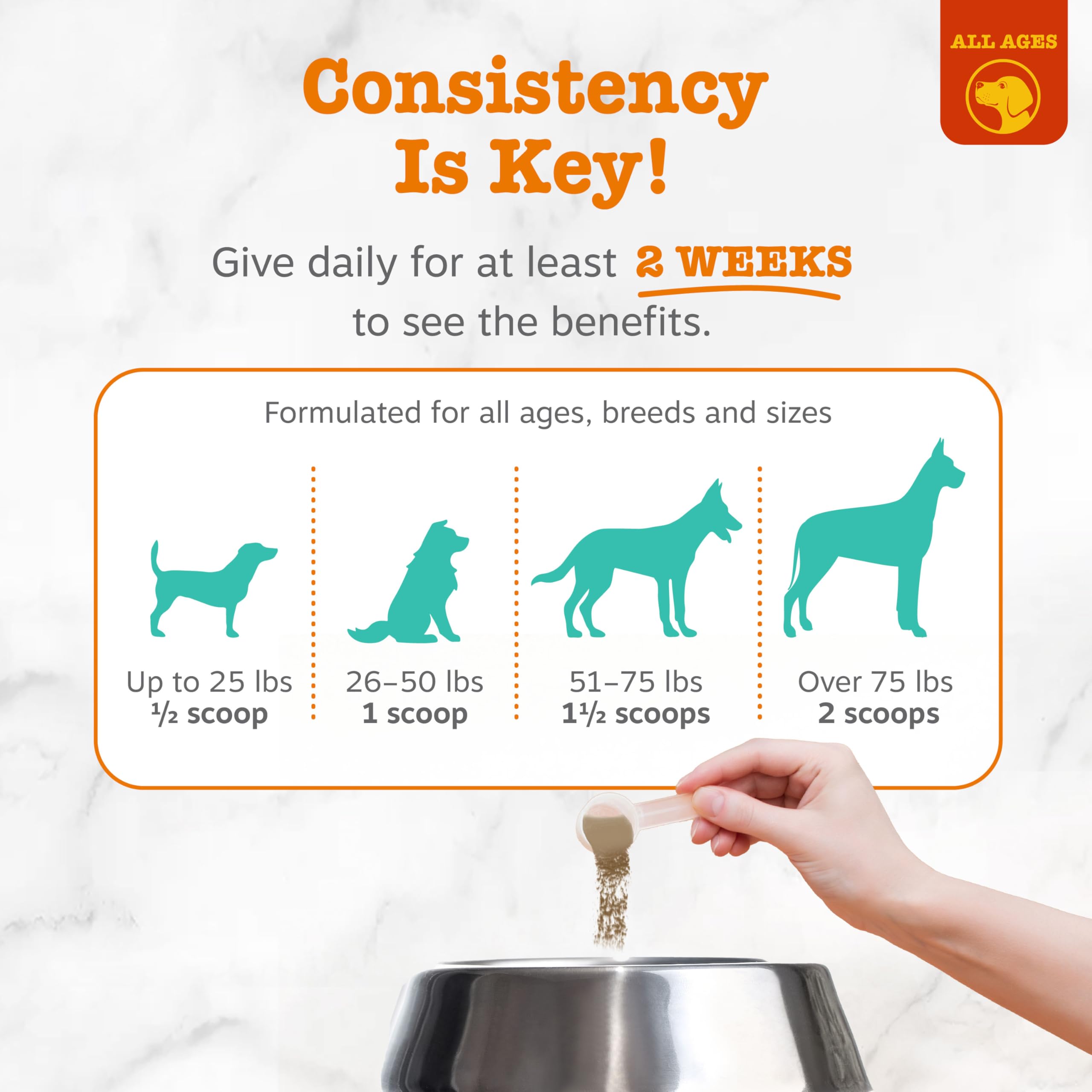 Zesty Paws Probiotic Dental Powder packaging hints at gut health support for dogs.