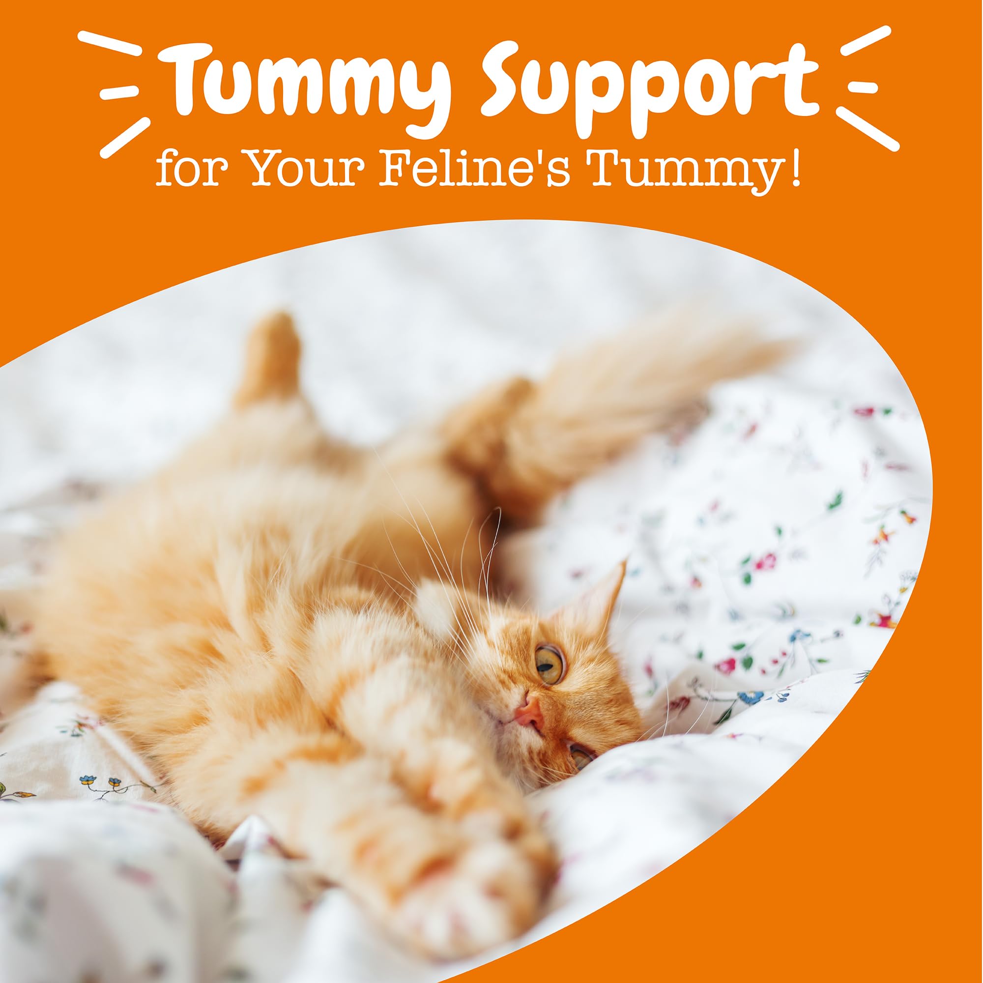 Zesty Paws Probiotics digestive health graphic for cats.