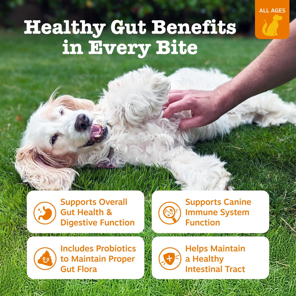 Zesty Paws dog chews on hand, a tasty digestive support treat