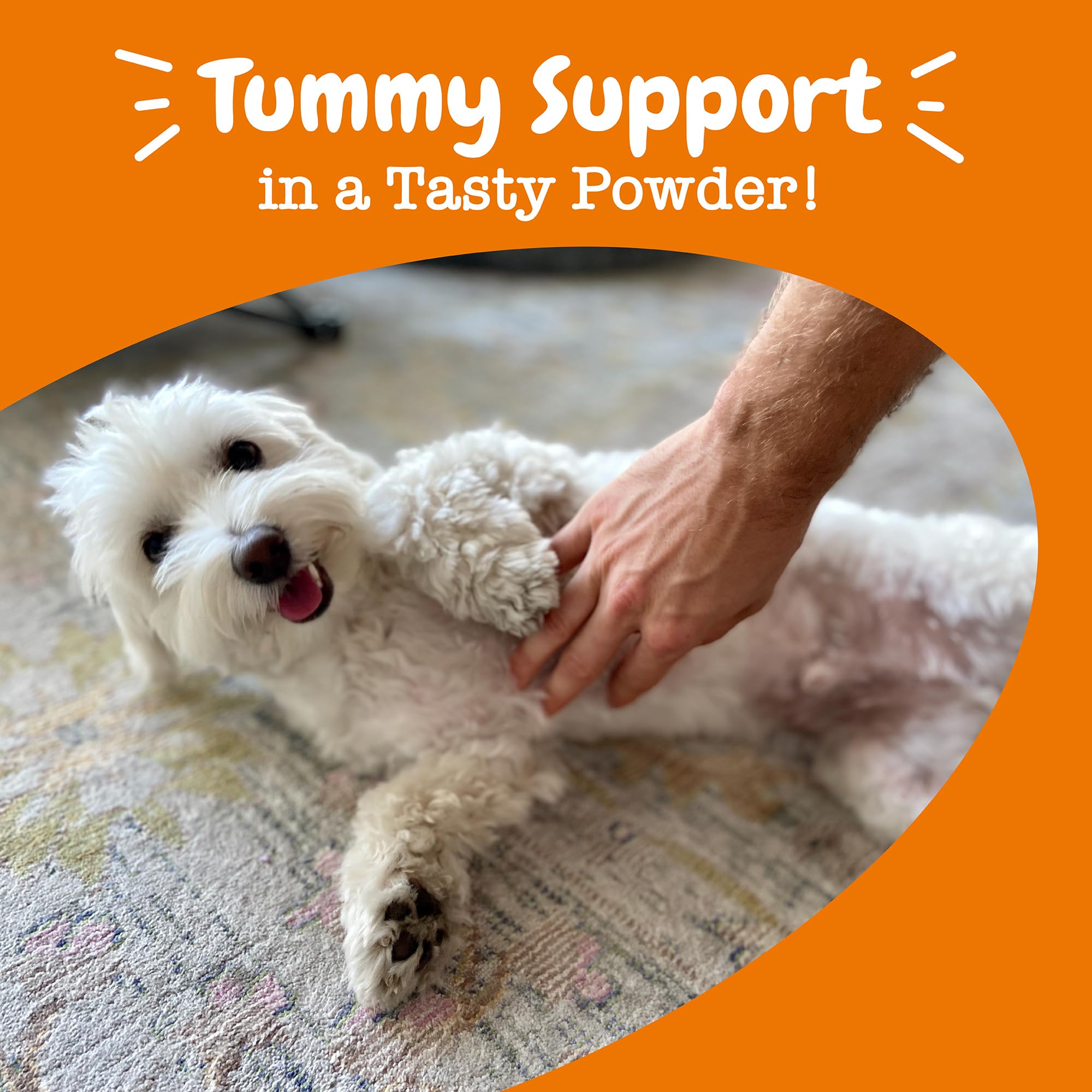 Zesty Paws Probiotics for Dogs 30-count pouch simplifies daily feeding
