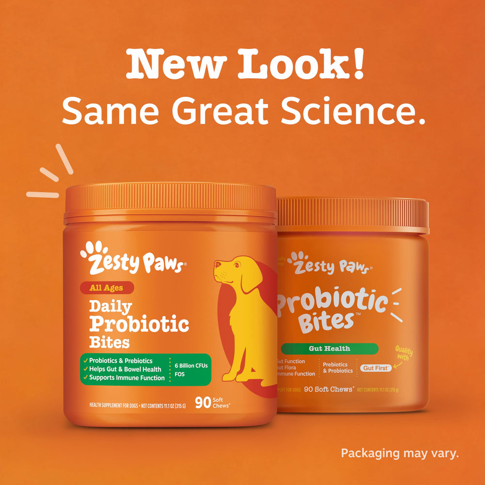 Digestive scene with Zesty Paws chews and a dog on a mat.