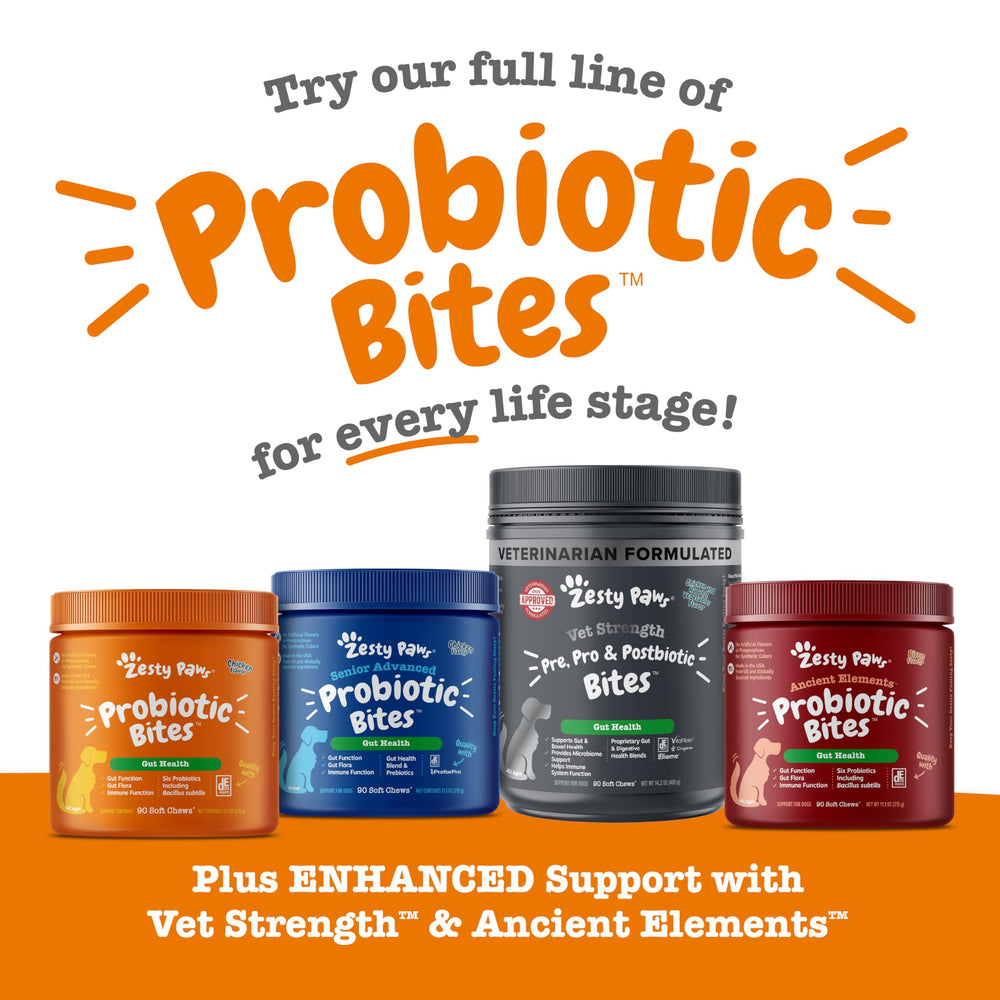 Immune-support motif in Zesty Paws packaging suggesting pet wellness.