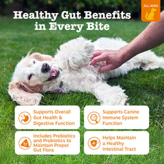 Front-pack Zesty Paws probiotic chews for daily digestive support.