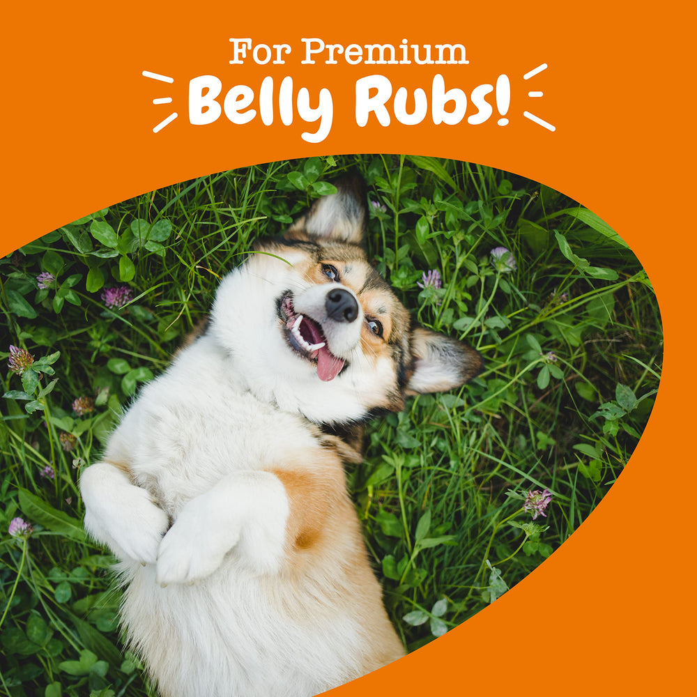 Zesty Paws digestive health chew for easy daily use.