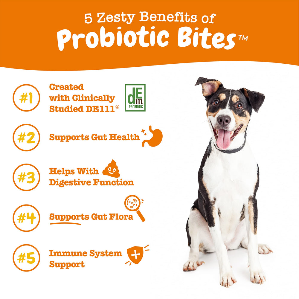 Zesty Paws pumpkin-enriched probiotic chew promotes gut comfort.