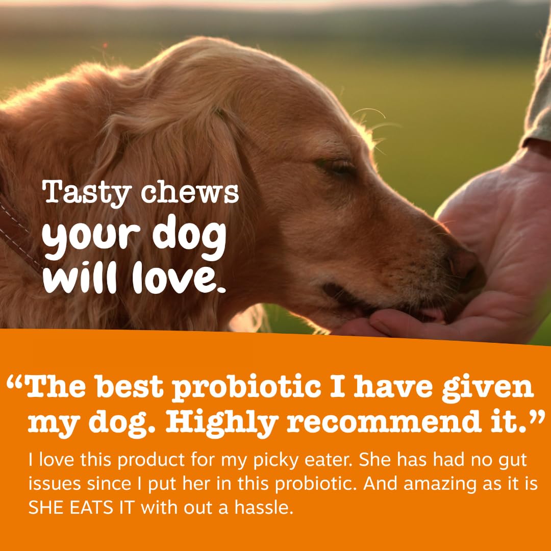 Pumpkin and papaya on package, natural digestive supports for dogs