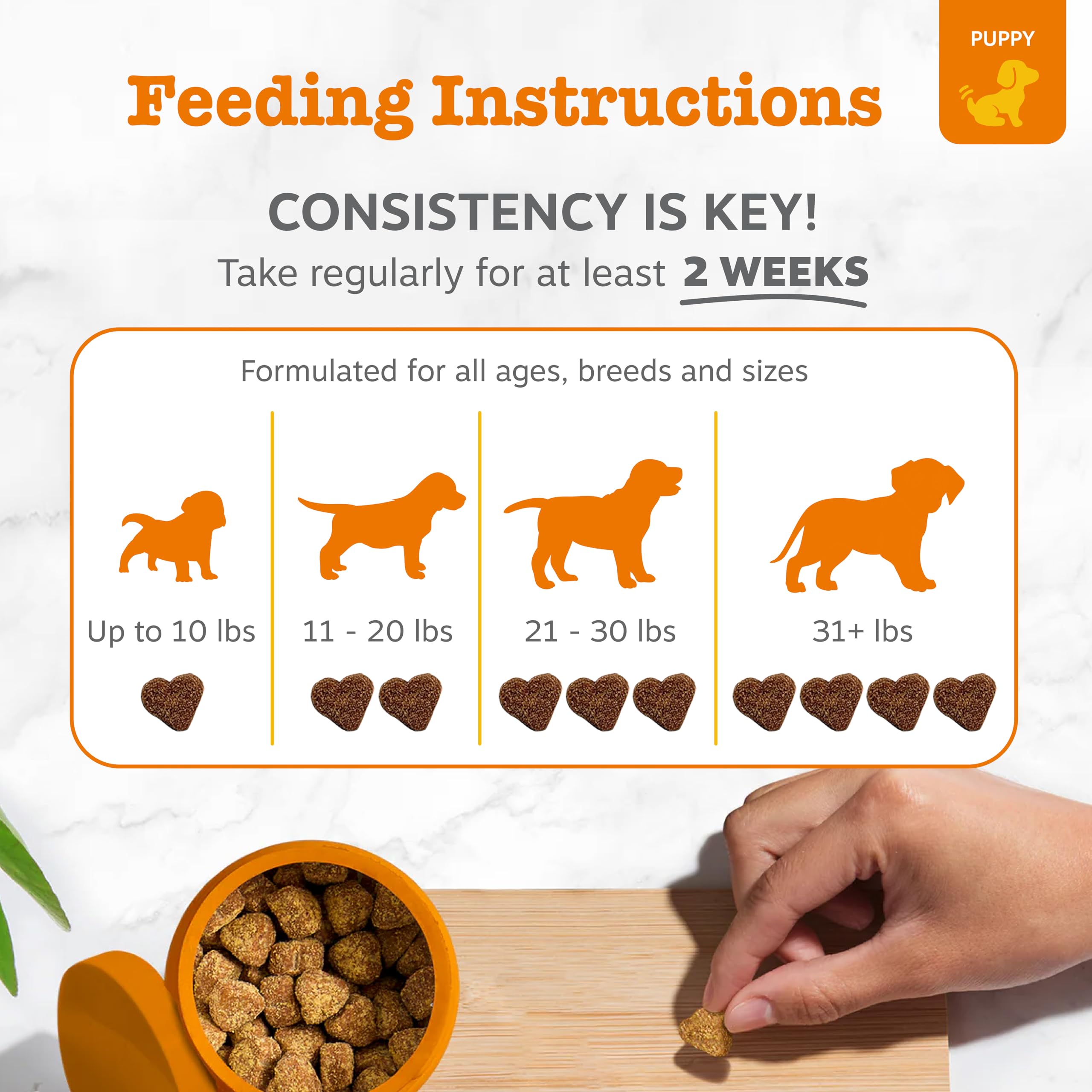 Zesty Paws Puppy Probiotics with pumpkin highlights added gut flora support.