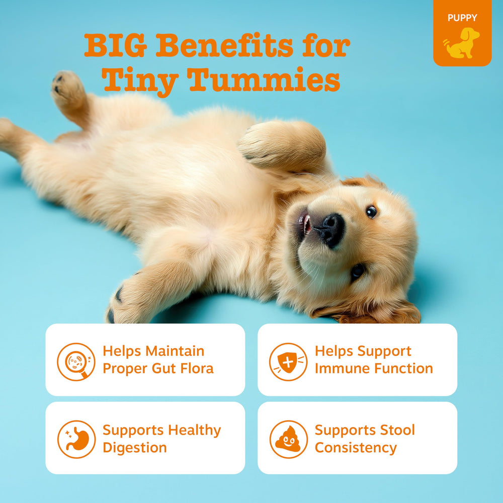Zesty Paws Puppy Probiotics soft chews close-up show tasty texture.