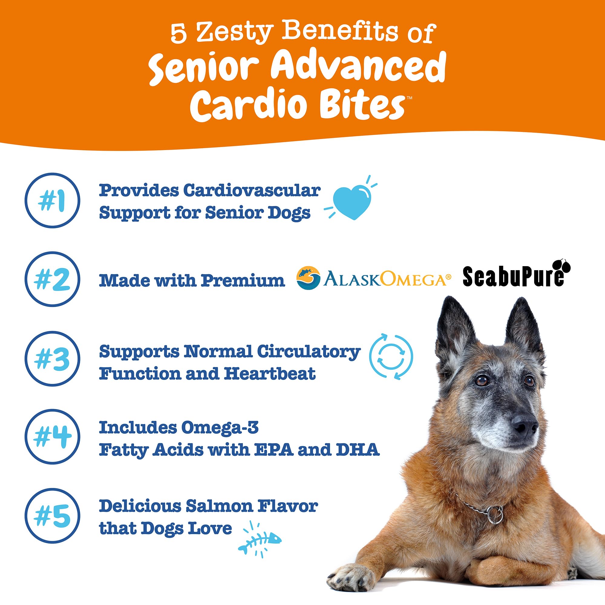 Zesty Paws seabuckthorn powder for cardiovascular support and antioxidant protection.